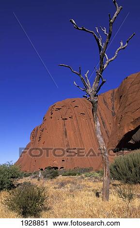 Uluru; Northern Territory, Australia View Large Photo Image Stock Image - Uluru; Northern Territory, Australia. Fotosearch
