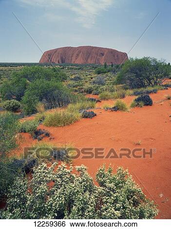 Uluru; Northern Territory, Australia View Large Photo Image Stock Photograph - Uluru; Northern Territory, Australia. Fotosearch