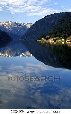 Picture - Ulvikfjord, West Coast, Norway.. Fotosearch