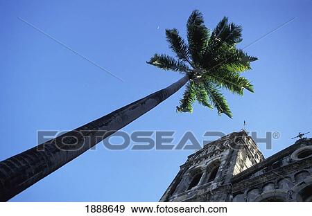 Stock Photo - Umca Anglican Cathedral And Palm Tree. Fotosearch