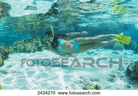 Stock Image - Underwater view of a woman snorkelling in the coral gardens; Bora Bora, French Polynesia. Fotosearch