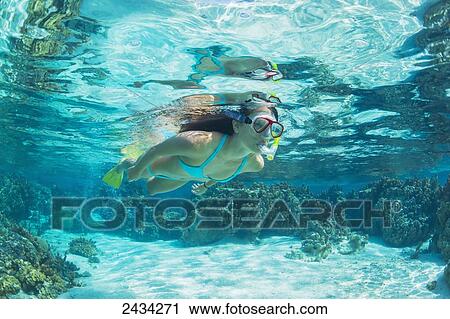 Underwater view of a woman snorkelling in the coral gardens; Bora Bora, French Polynesia View Large Photo Image Stock Image - Underwater view of a woman snorkelling in the coral gardens; Bora Bora, French Polynesia. Fotosearch