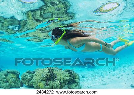 Stock Image - Underwater view of a woman snorkelling in the coral gardens; Bora Bora, French Polynesia. Fotosearch
