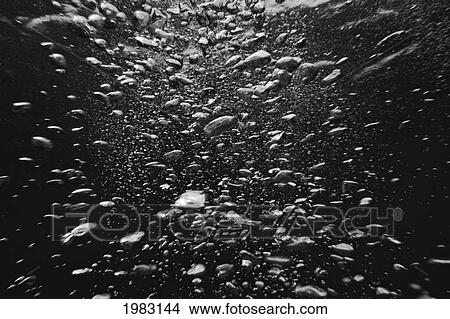 Picture - Underwater View Of Air Bubbles Rising To Surface (Black And White Photograph).. Fotosearch
