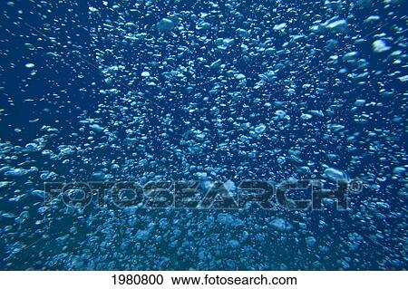 Underwater View Of Air Bubbles Rising Through Blue Ocean Water. View Large Photo Image Stock Image - Underwater View Of Air Bubbles Rising Through Blue Ocean Water.. Fotosearch
