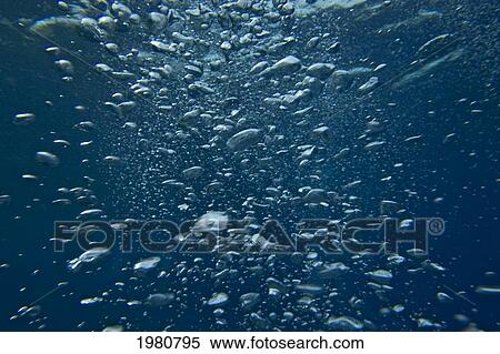 Underwater View Of Air Bubbles Rising Through Blue Ocean Water. View Large Photo Image Stock Photography - Underwater View Of Air Bubbles Rising Through Blue Ocean Water.. Fotosearch