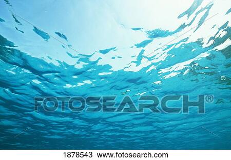 Underwater View Of Ocean, Close Up View Large Photo Image Stock Image - Underwater View Of Ocean, Close Up. Fotosearch