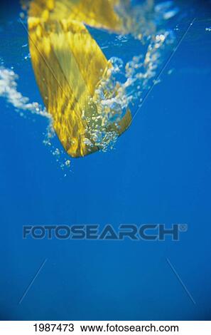 Underwater View Of Yellow Paddle Stroking Water, Creating Bubbles. View Large Photo Image Stock Image - Underwater View Of Yellow Paddle Stroking Water, Creating Bubbles.. Fotosearch