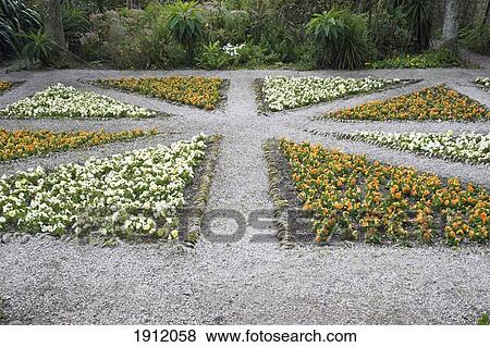 Stock Photo - Union Jack Flowerbed At Tresco Abbey Gardens, Tresco, Isles Of Scilly, England. Fotosearch