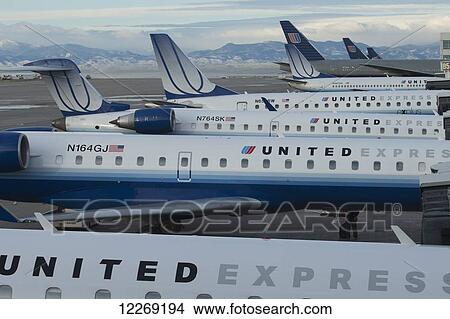 Picture - United airlines airplanes parked in a row at an airport; Denver, Colorado, United States of America. Fotosearch