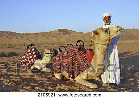 Stock Image - United Arab Emirates, Abu Dahbi, Camel and guide in Liwa desert dunes. Fotosearch