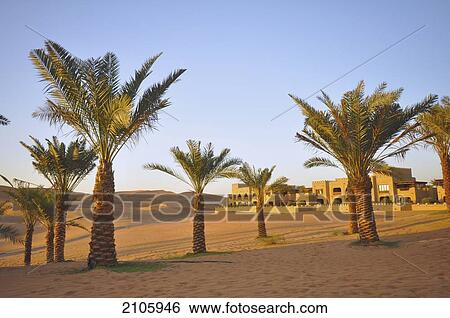 Stock Photograph - United Arab Emirates, Abu Dahbi, Qasr al Sarab, Liwa desert, Qasr al Sarab hotel with palm trees. Fotosearch