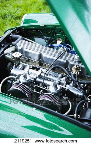 United Kingdom, England, Devon, Close-up of MGB GT engine; Uffculme View Large Photo Image Stock Image - United Kingdom, England, Devon, Close-up of MGB GT engine; Uffculme. Fotosearch