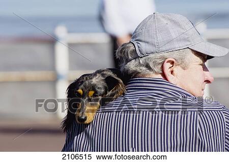 Stock Photography - United Kingdom, England, Dorset, Man and dog; Weymouth. Fotosearch