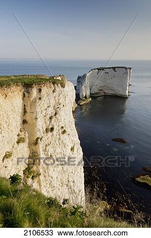 Stock Image - United Kingdom, England, Dorset, Cliffs; Studland. Fotosearch