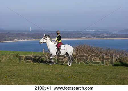 United Kingdom, England, Dorset, Woman riding horse; Studland View Large Photo Image Stock Image - United Kingdom, England, Dorset, Woman riding horse; Studland. Fotosearch