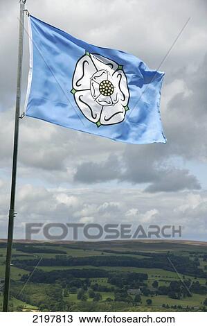 United Kingdom, England, West Yorkshire, White Rose Flag Of Yorkshire; Ilkley Moor View Large Photo Image Stock Image - United Kingdom, England, West Yorkshire, White Rose Flag Of Yorkshire; Ilkley Moor. Fotosearch