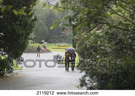 United Kingdom, Northern Ireland, Heavy rain at Botanic Gardens Park; Belfast View Large Photo Image Stock Image - United Kingdom, Northern Ireland, Heavy rain at Botanic Gardens Park; Belfast. Fotosearch
