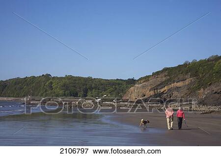 Stock Photo - United Kingdom, Rear view of man and woman walking with dog on beach; Wales. Fotosearch