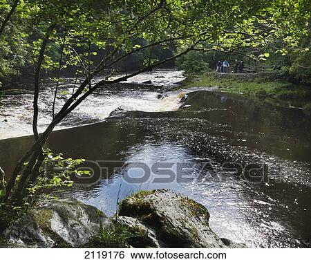 Stock Photograph - United Kingdom, River Roe or Red River running through Roe Valley Country Park; Northern Ireland. Fotosearch