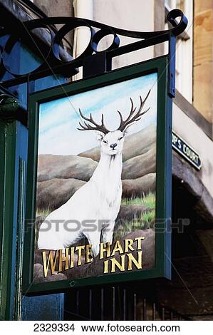 United Kingdom, Scotland, Commercial Sign with stag representation; Edinburgh View Large Photo Image Picture - United Kingdom, Scotland, Commercial Sign with stag representation; Edinburgh. Fotosearch