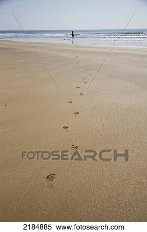 Stock Photography - United Kingdom, Wales, Pembrokeshire, Footsteps On Wet Beach; Freshwater West. Fotosearch