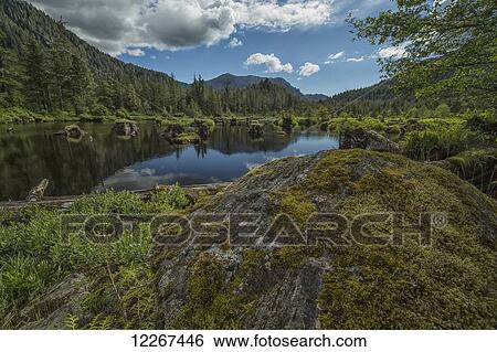Stock Photograph - Unnamed pond outside of Prince Rupert; British Columbia, Canada. Fotosearch