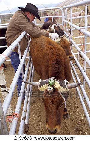 Stock Photo - Unseen. Sport Without Sight' Project By Magali Delporte, Realised In 2001 And 2002. Jerry Long, Blind Rodeo, Capitan, New Mexico, March 2002. It Only Takes A Few. Fotosearch