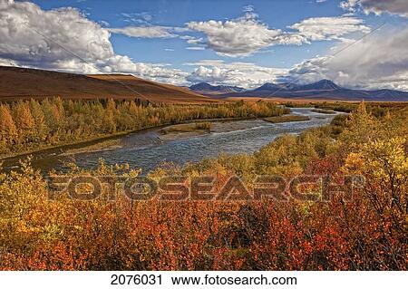 Upper Blackstone River Flowing North Along The Demspter Highway In Autumn; Yukon Canada View Large Photo Image Stock Image - Upper Blackstone River Flowing North Along The Demspter Highway In Autumn; Yukon Canada. Fotosearch