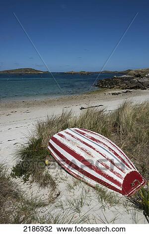 Upside Down Boat On Green Porth Beach, Tresco, Isles Of Scilly, Cornwall, Uk, Europe View Large Photo Image Stock Image - Upside Down Boat On Green Porth Beach, Tresco, Isles Of Scilly, Cornwall, Uk, Europe. Fotosearch