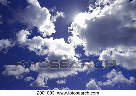 Upward View Bright Blue Sky With White Puffy Clouds Sunshine View Large Photo Image Stock Image - Upward View Bright Blue Sky With White Puffy Clouds Sunshine. Fotosearch