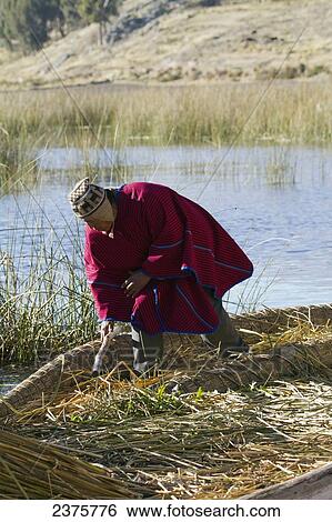 Stock Photograph - Urus Iruitos man on Chisawa, a reed island made by the Urus Iruitos people in Titicaca Lake, Bolivia. Fotosearch