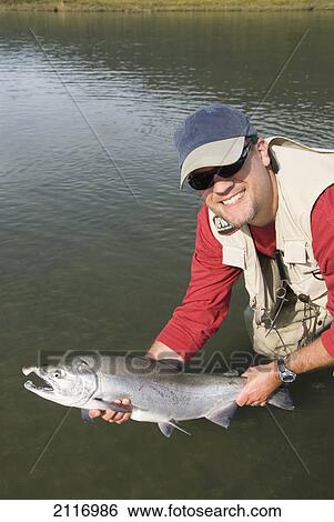 USA, Alaska, Coghill Lake, A fisherman holding a Silver (or Coho) Salmon (Oncorhynchus Kisutch). View Large Photo Image Stock Photograph - USA, Alaska, Coghill Lake, A fisherman holding a Silver (or Coho) Salmon (Oncorhynchus Kisutch).. Fotosearch