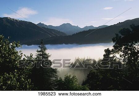Stock Image - USA, California, Landscape of fog in forested valley on coast; Big Sur. Fotosearch