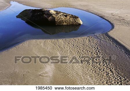 USA, California, Rock in pool of water surrounded by sand; Morro Bay View Large Photo Image Stock Image - USA, California, Rock in pool of water surrounded by sand; Morro Bay. Fotosearch