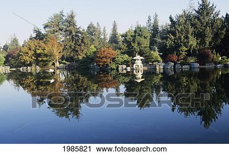 Stock Image - USA, California, San Jose, Kelley Park, Reflections in pond; Japanese Friendship Garden. Fotosearch
