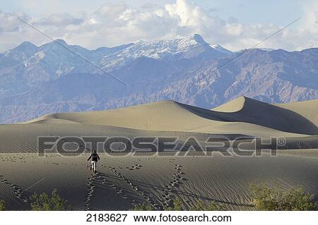 Usa, California, Young Woman Trekking On Mesquite Flat Sand Dunes With Amargosa Range Mountains In Background; Death Valley National Park View Large Photo Image Stock Photo - Usa, California, Young Woman Trekking On Mesquite Flat Sand Dunes With Amargosa Range Mountains In Background; Death Valley National Park. Fotosearch