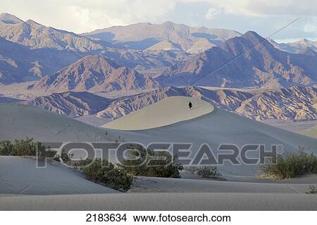 Usa, California, Young Woman Walking On Mesquite Flat Sand Dunes With Amargosa Range Mountains In Background; Death Valley National Park View Large Photo Image Picture - Usa, California, Young Woman Walking On Mesquite Flat Sand Dunes With Amargosa Range Mountains In Background; Death Valley National Park. Fotosearch