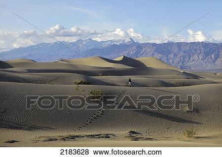 Stock Photo - Usa, California, Young Woman Walking On Mesquite Flat Sand Dunes With Amargosa Range Mountains In Background; Death Valley National Park. Fotosearch