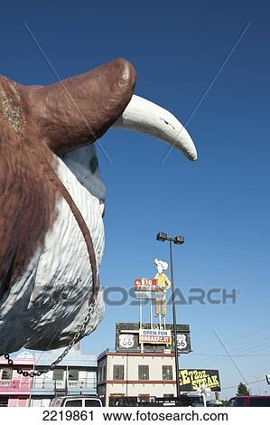 USA, Close up view of cow sculpture with buildings in background; Texas View Large Photo Image Stock Image - USA, Close up view of cow sculpture with buildings in background; Texas. Fotosearch