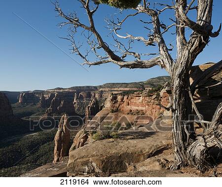 Picture - USA, Colorado, Magnificent views of sheer rock canyons and red sandstone monoliths; Colorado National Monument. Fotosearch