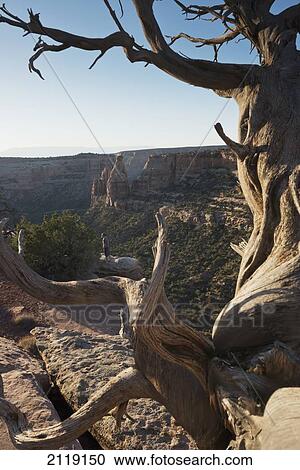 Stock Image - USA, Colorado, Magnificent views of sheer rock canyons and red sandstone monoliths; Colorado National Monument. Fotosearch