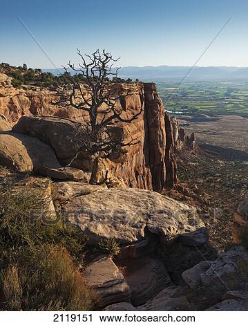 USA, Colorado, Magnificent views of sheer rock canyons and red sandstone monoliths; Colorado National Monument View Large Photo Image Stock Image - USA, Colorado, Magnificent views of sheer rock canyons and red sandstone monoliths; Colorado National Monument. Fotosearch