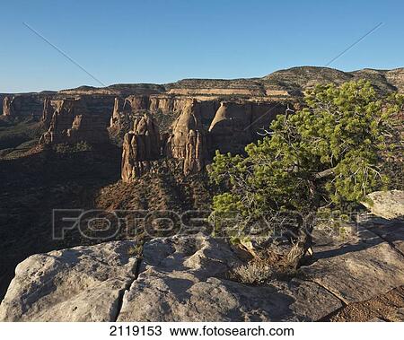 Stock Image - USA, Colorado, Magnificent views of sheer rock canyons and red sandstone monoliths; Colorado National Monument. Fotosearch