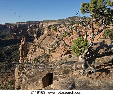 Stock Image - USA, Colorado, Magnificent views of sheer rock canyons and red sandstone monoliths; Colorado National Monument. Fotosearch