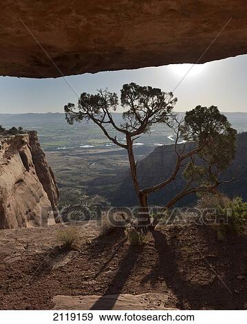 Stock Photo - USA, Colorado, Magnificent views of sheer rock canyons and red sandstone monoliths; Colorado National Monument. Fotosearch