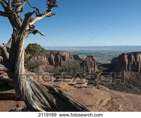 Stock Photo - USA, Colorado, Magnificent views of sheer rock canyons and red sandstone monoliths; Colorado National Monument. Fotosearch