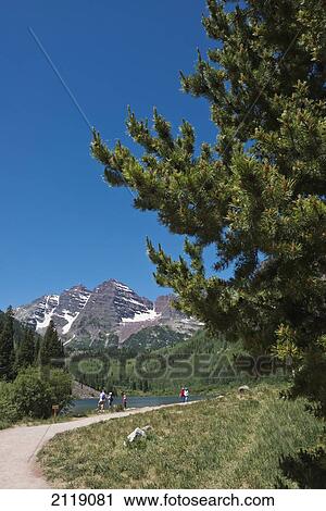 USA, Colorado, Maroon Bells; Aspen View Large Photo Image Stock Image - USA, Colorado, Maroon Bells; Aspen. Fotosearch