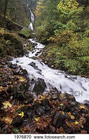 Stock Image - USA, Columbia River Gorge; Oregon, Wahkeena Falls Cascading Through Forest. Fotosearch