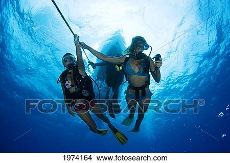 Picture - USA, Divers Underwater On Anchor Line; Hawaii Islands. Fotosearch